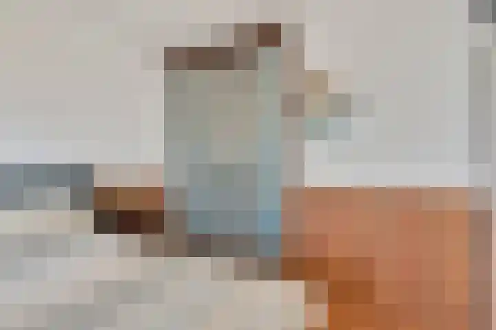 Louvre 160 Capelle aan den IJssel thumbnail 23