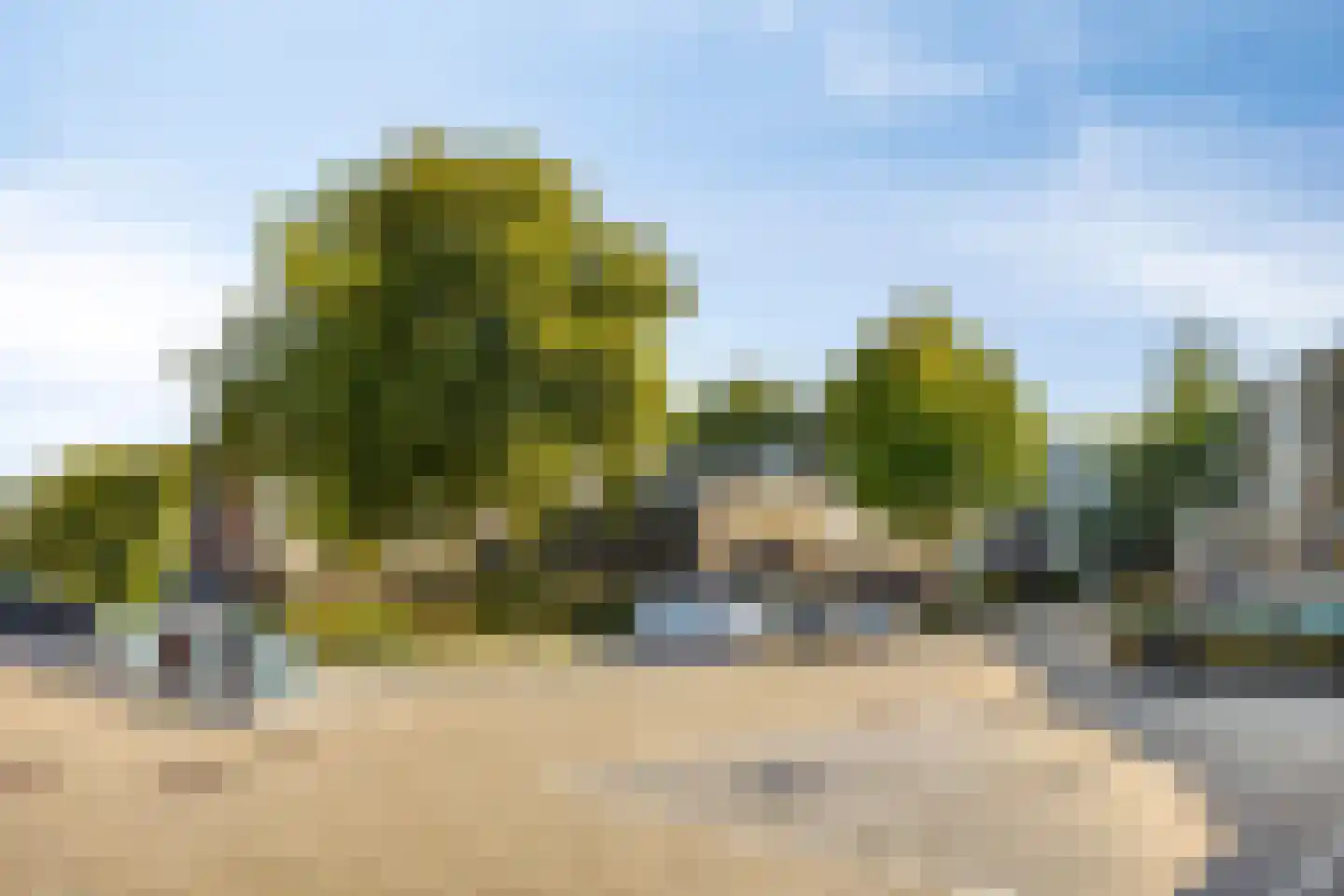 Louvre 162 Capelle aan den IJssel thumbnail 29