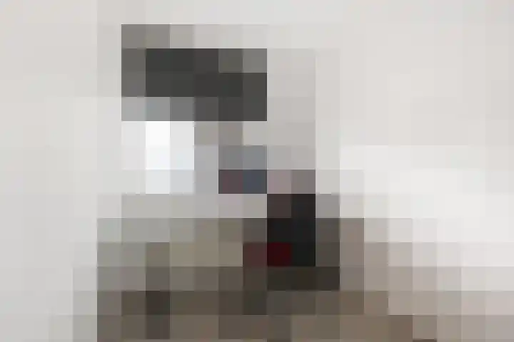 Louvre 170 Capelle aan den IJssel thumbnail 17