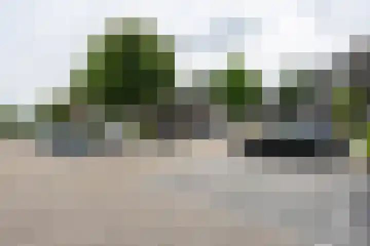 Louvre 170 Capelle aan den IJssel thumbnail 22