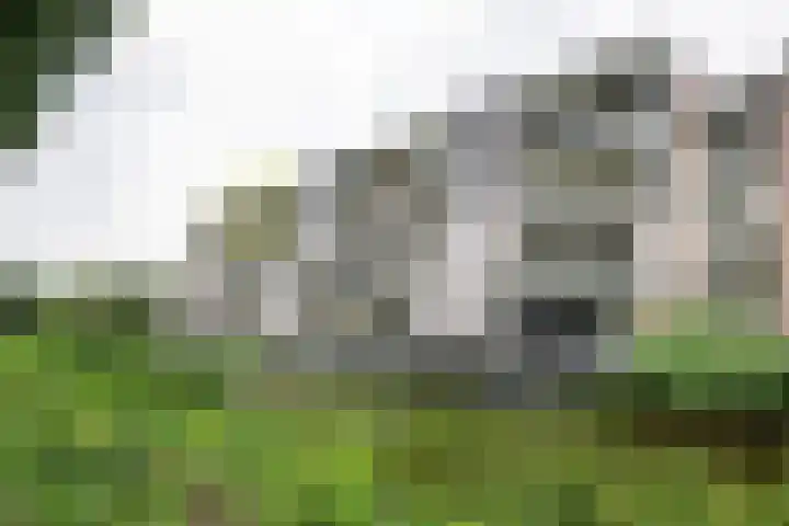Louvre 170 Capelle aan den IJssel thumbnail 25