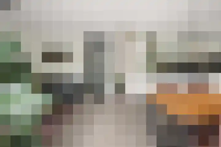Louvre 170 Capelle aan den IJssel thumbnail 8