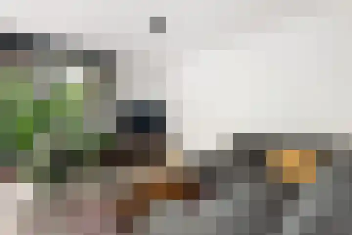 Louvre 170 Capelle aan den IJssel thumbnail 9
