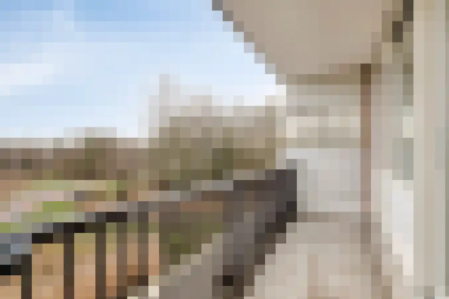 Louvre 180 Capelle aan den IJssel thumbnail 6