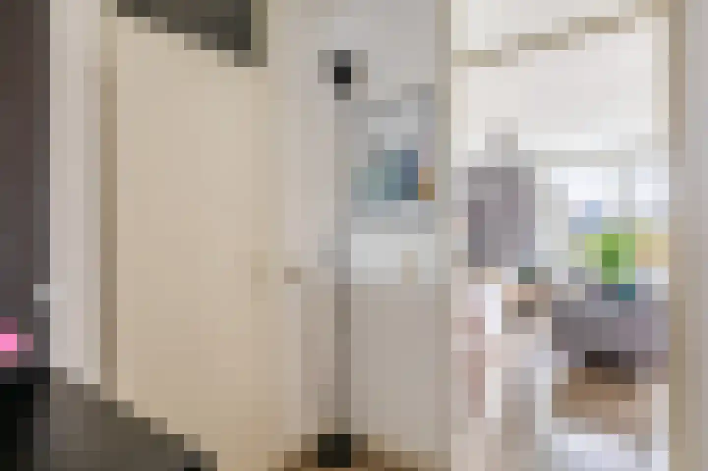 Louvre 200 Capelle aan den IJssel thumbnail 16