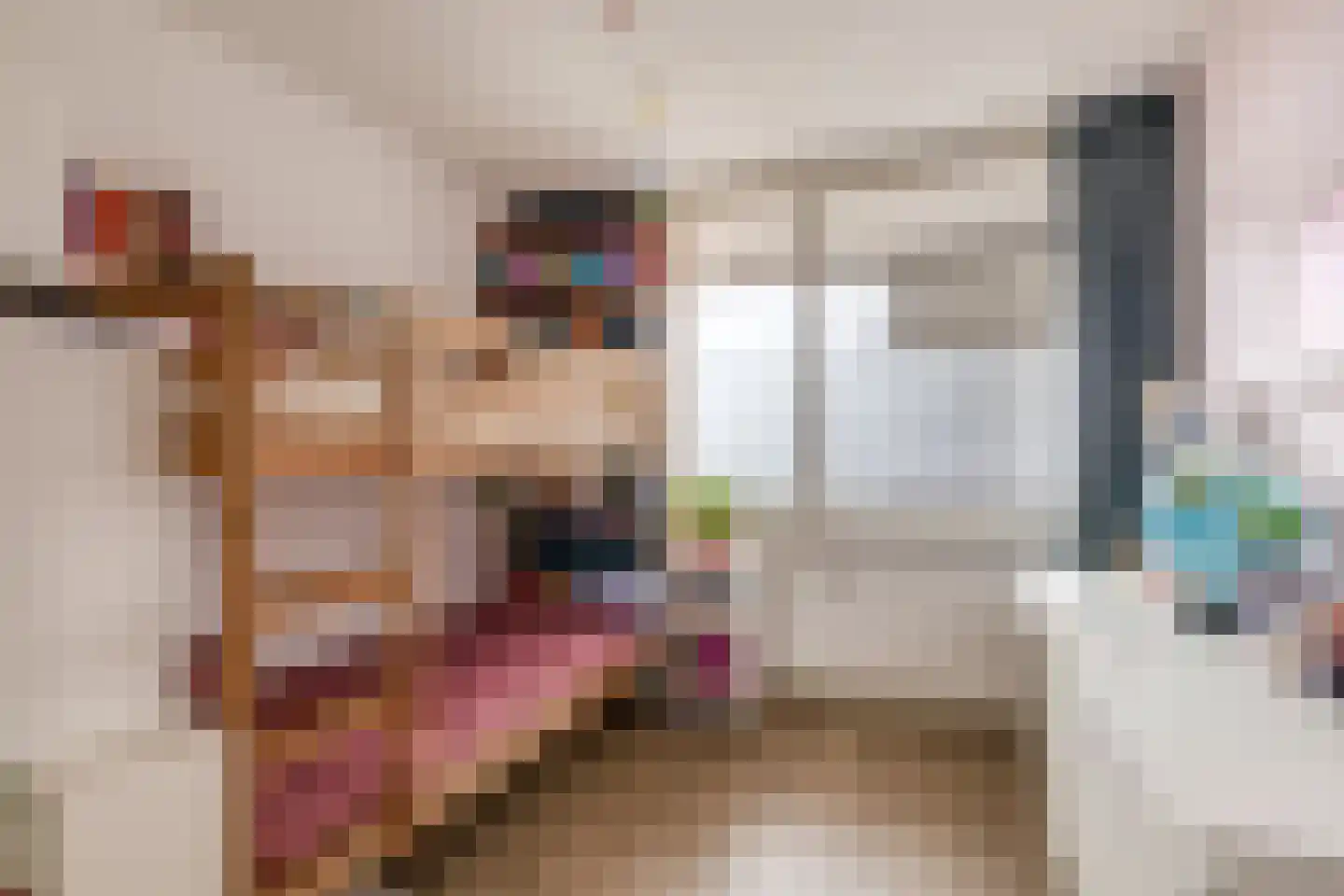 Louvre 200 Capelle aan den IJssel thumbnail 22
