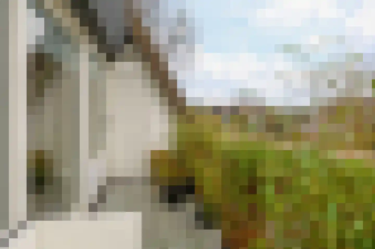 Louvre 200 Capelle aan den IJssel thumbnail 4