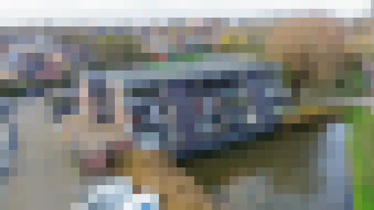 Louvre 200 Capelle aan den IJssel thumbnail 43