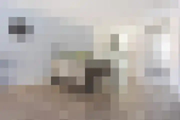 Louvre 4 Zevenhuizen thumbnail 7