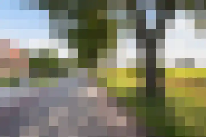 Louwdijk 34 Blijham thumbnail 12