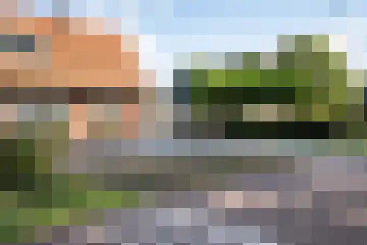 Louwdijk 34 Blijham thumbnail 13