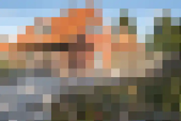 Louwdijk 34 Blijham thumbnail 16