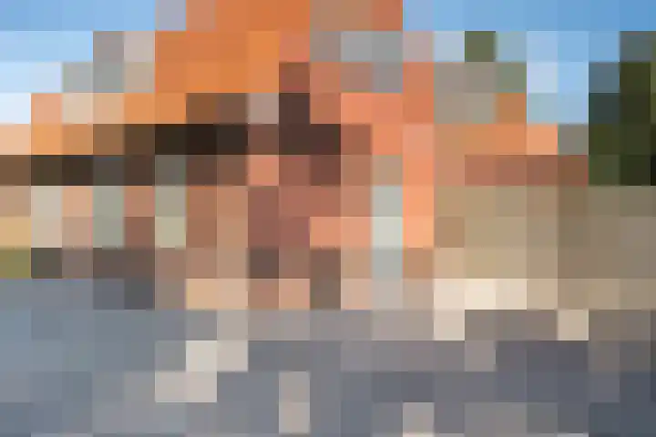 Louwdijk 34 Blijham thumbnail 17