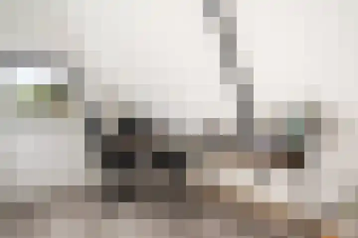Louwdijk 34 Blijham thumbnail 37