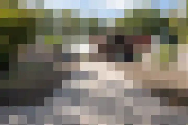 Louwdijk 34 Blijham thumbnail 48