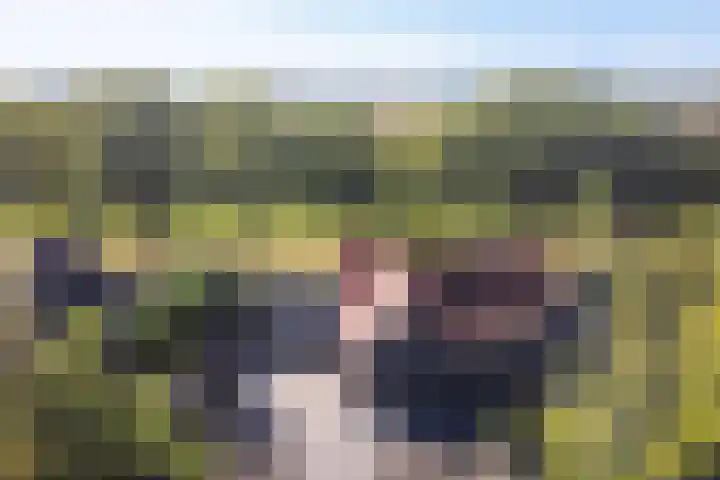 Louwdijk 34 Blijham thumbnail 5