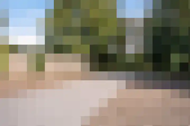 Louwdijk 34 Blijham thumbnail 53