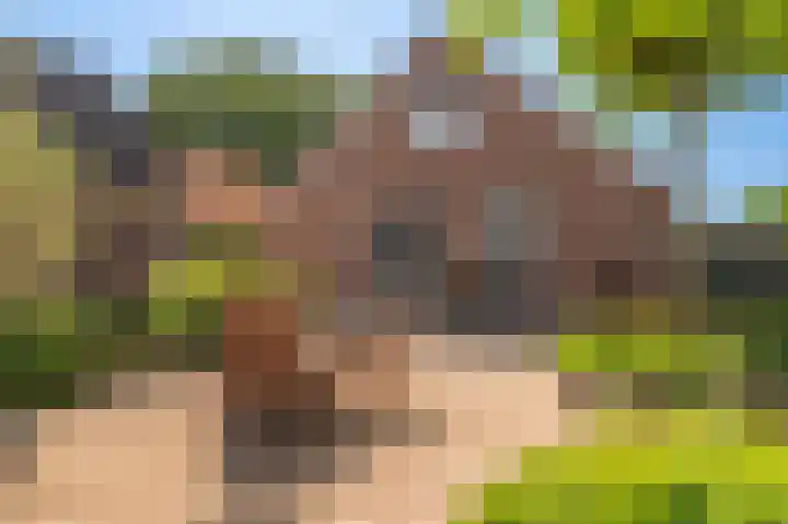 Louwdijk 37 Blijham thumbnail 15