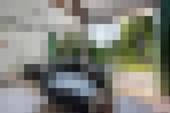 Louwer om'e tún 17 Terherne thumbnail 11
