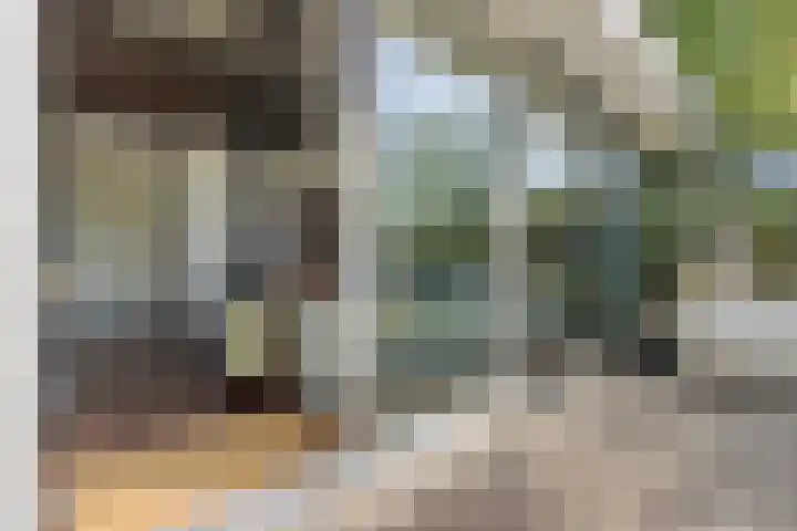 Louwer om'e tún 17 Terherne thumbnail 12