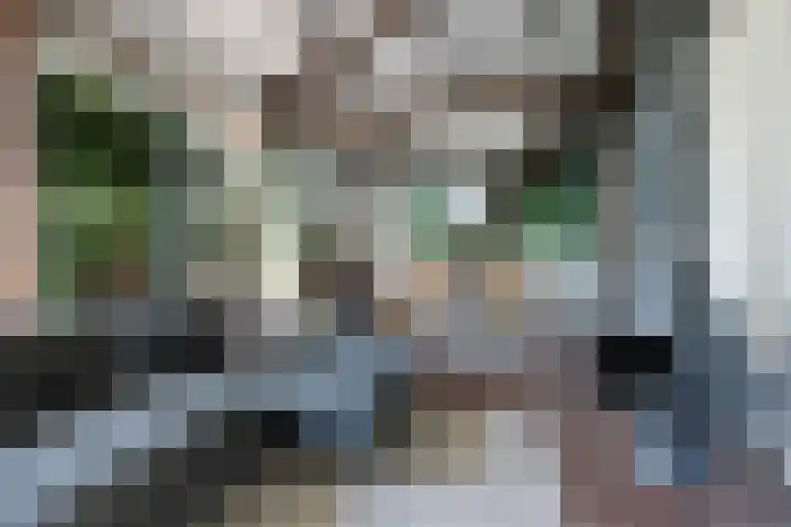 Louwer om'e tún 17 Terherne thumbnail 14
