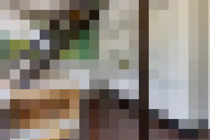 Louwer om'e tún 17 Terherne thumbnail 15