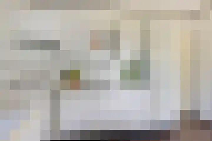 Louwer om'e tún 17 Terherne thumbnail 16