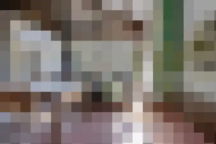 Louwer om'e tún 17 Terherne thumbnail 17