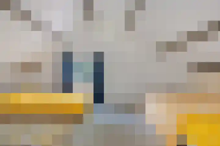 Louwer om'e tún 17 Terherne thumbnail 23