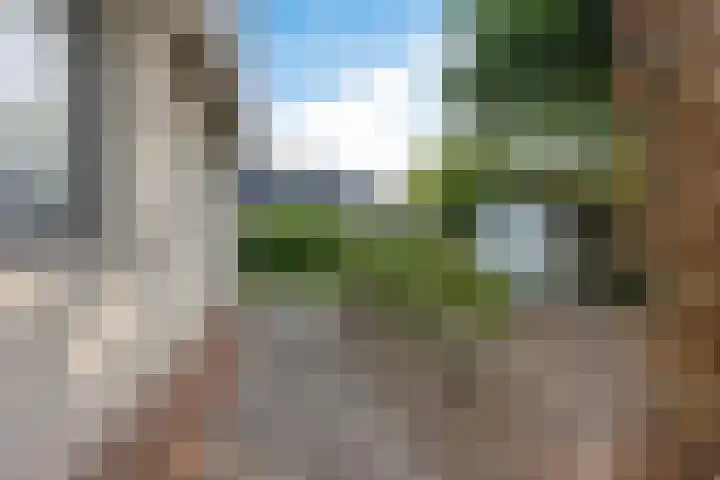 Louwer om'e tún 17 Terherne thumbnail 26