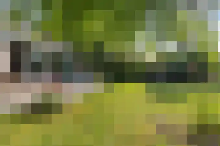 Louwer om'e tún 17 Terherne thumbnail 28
