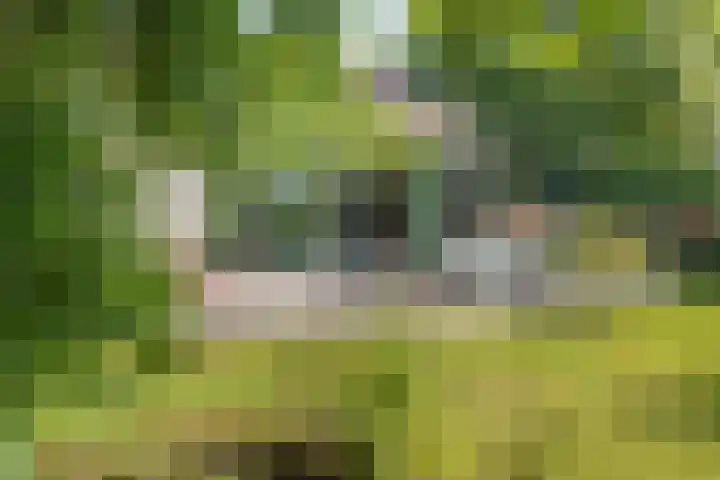 Louwer om'e tún 17 Terherne thumbnail 29