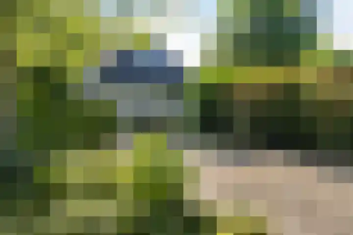 Louwer om'e tún 17 Terherne foto 3