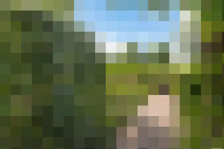 Louwer om'e tún 17 Terherne thumbnail 34