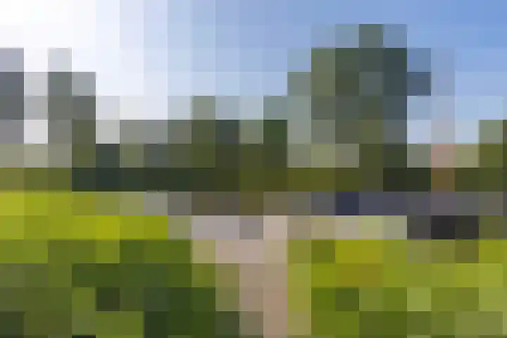 Louwer om'e tún 17 Terherne thumbnail 35