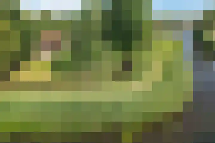 Louwer om'e tún 17 Terherne thumbnail 37