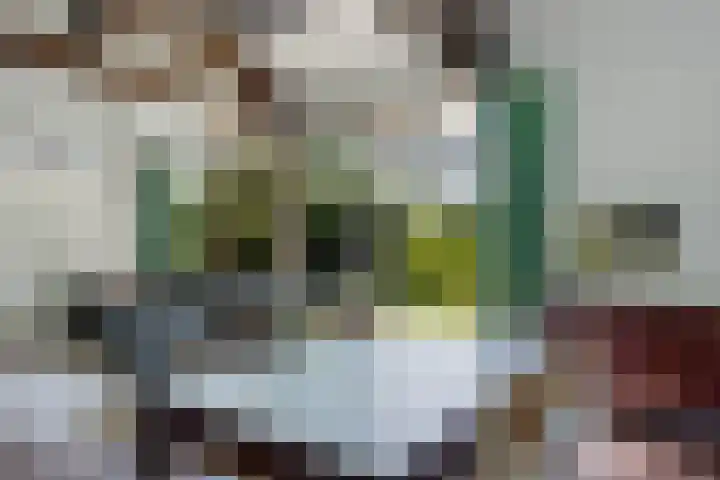 Louwer om'e tún 17 Terherne thumbnail 9
