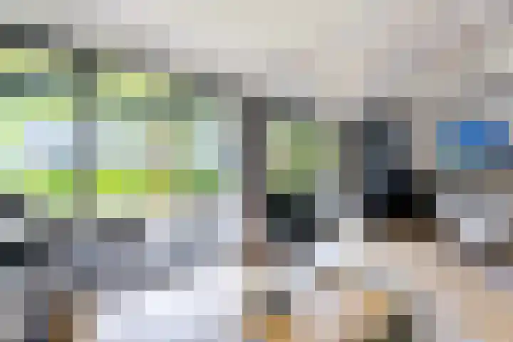 Louwer om'e tún 27 Terherne thumbnail 16