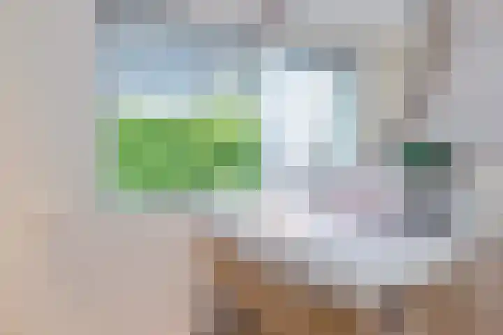 Louwer om'e tún 27 Terherne thumbnail 28