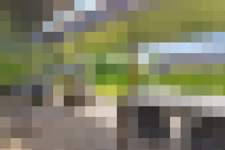Louwer om'e tún 27 Terherne foto 3