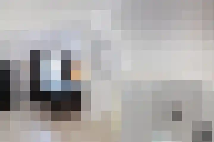 Louwer om'e tún 27 Terherne thumbnail 30