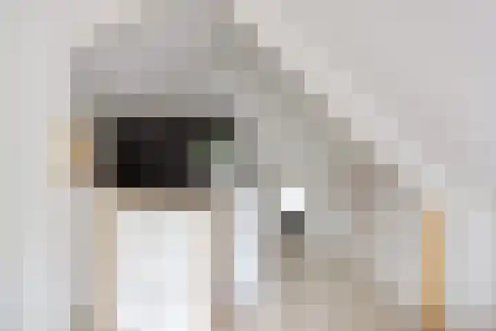 Louwer om'e tún 27 Terherne thumbnail 34