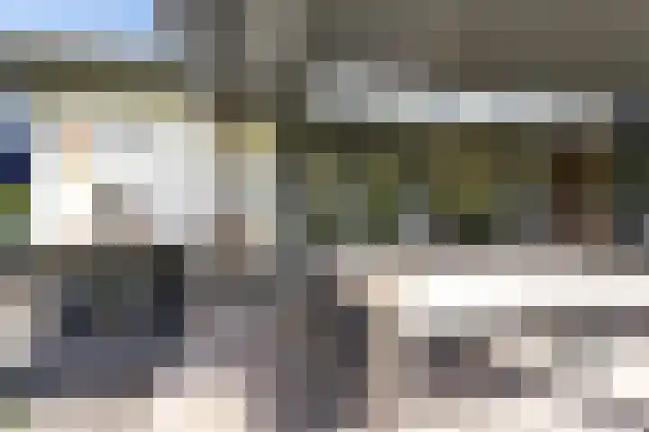 Louwer om'e tún 27 Terherne thumbnail 40