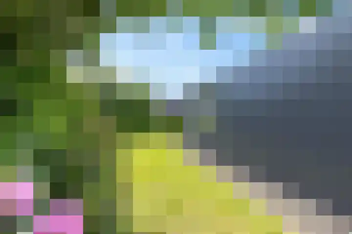 Louwer om'e tún 27 Terherne thumbnail 45