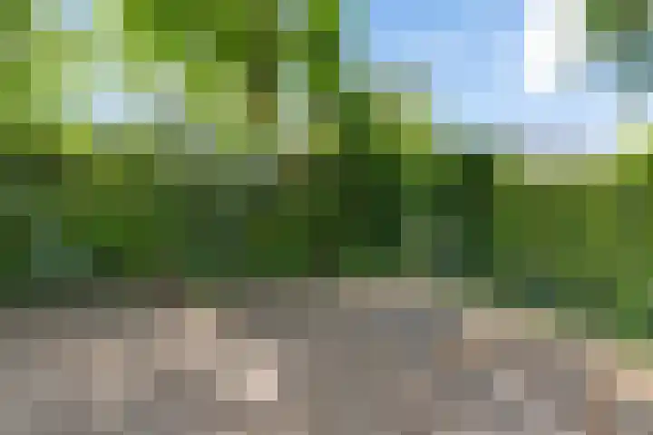 Louwer om'e tún 27 Terherne thumbnail 46
