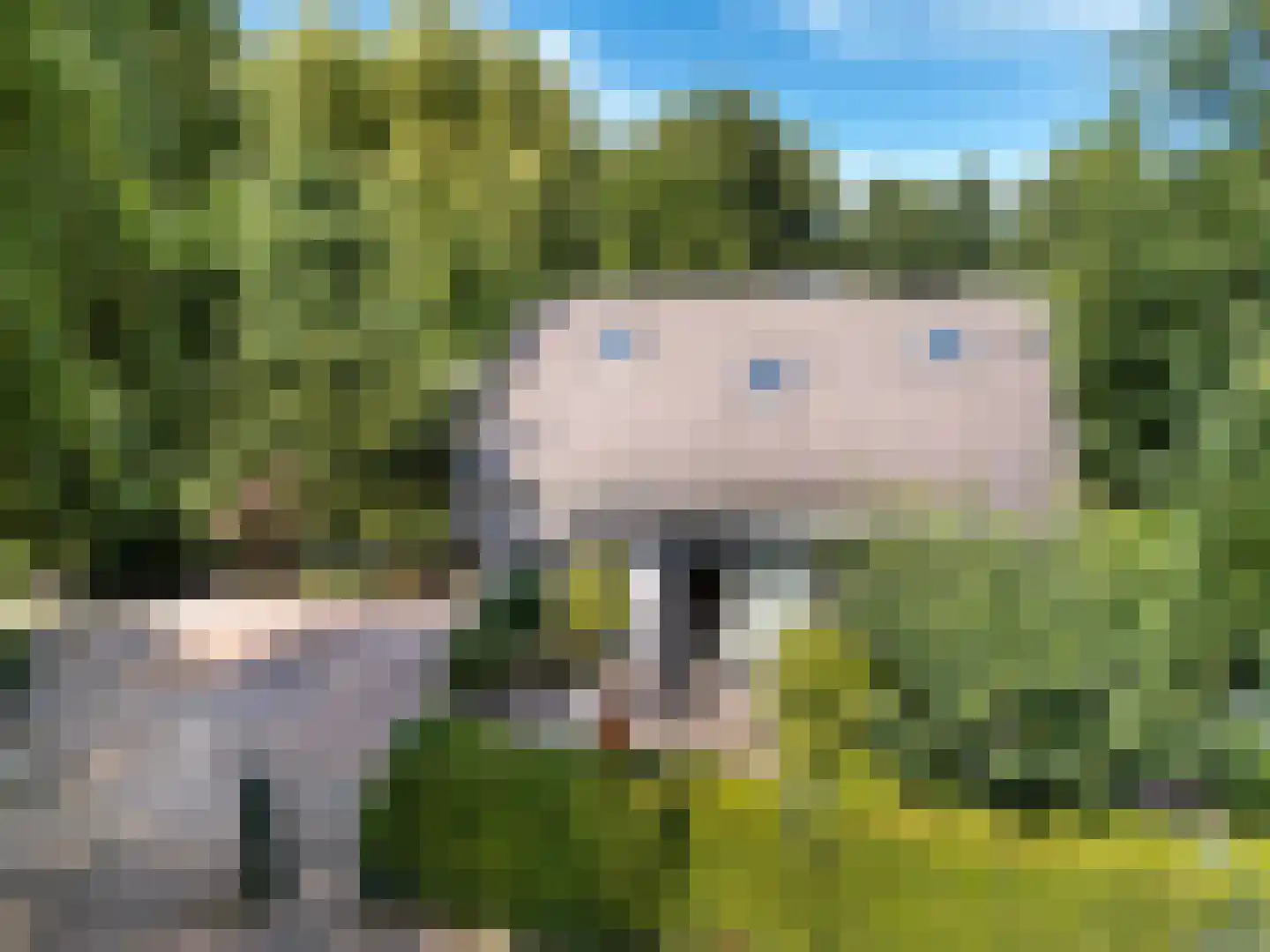 Louwer om'e tún 5 Terherne