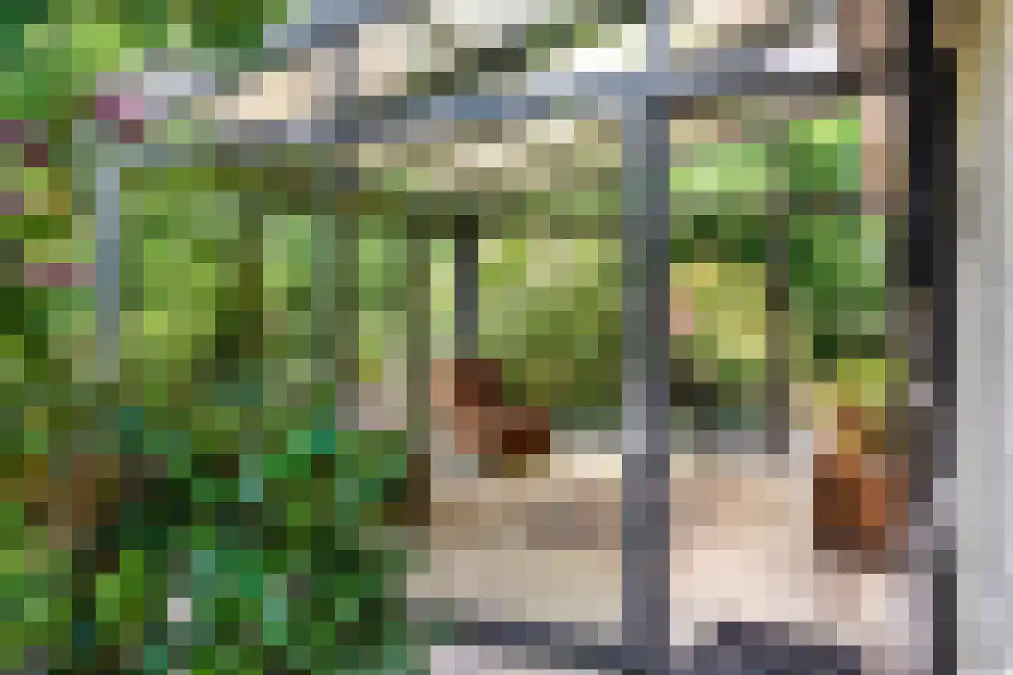 Louwer om'e tún 5 Terherne thumbnail 11