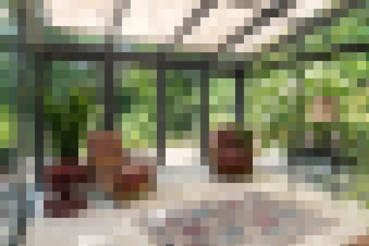 Louwer om'e tún 5 Terherne thumbnail 12