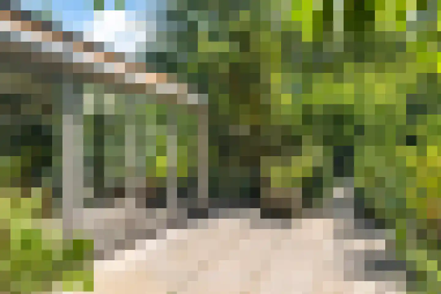 Louwer om'e tún 5 Terherne thumbnail 14