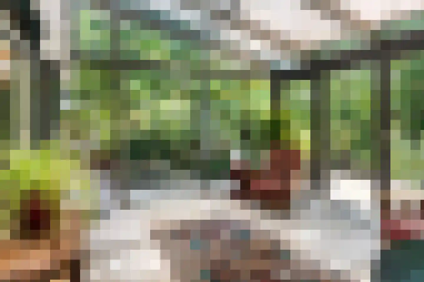 Louwer om'e tún 5 Terherne foto 2